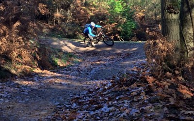 Fun at the forest of dean!