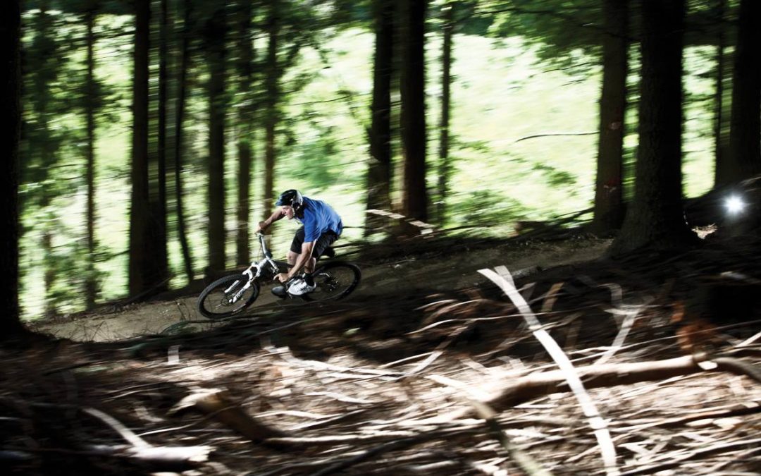 Forest of Dean ride this Sunday