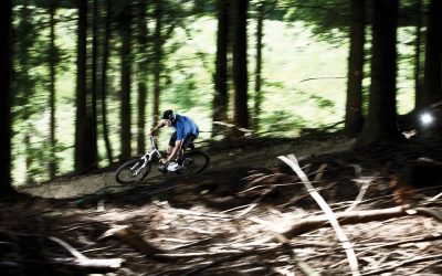 Forest of Dean ride this Sunday