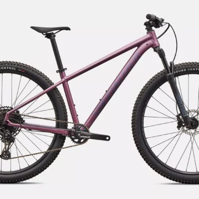 rockhopper expert 2026 satin quartz Metallic